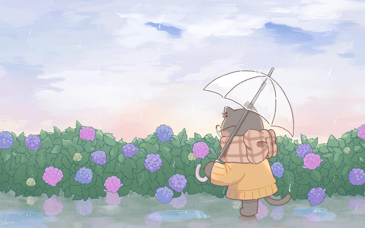 spring rain - aug 2022